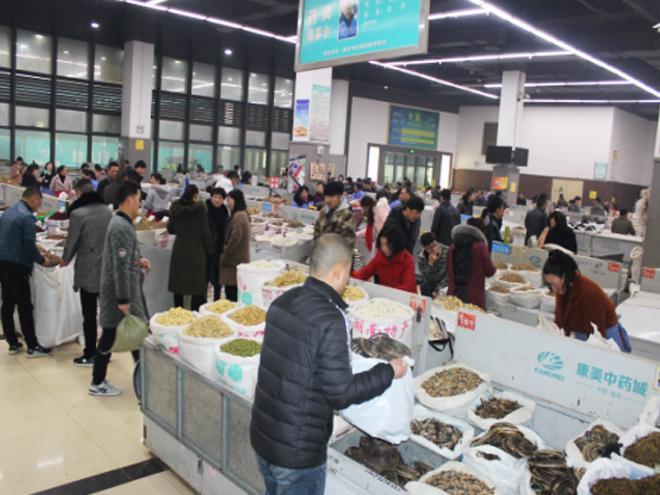 2018年中國亳州中藥材專業市場隆重開市，藥市新篇起航